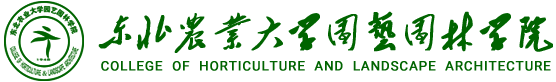 ylzzcom永利